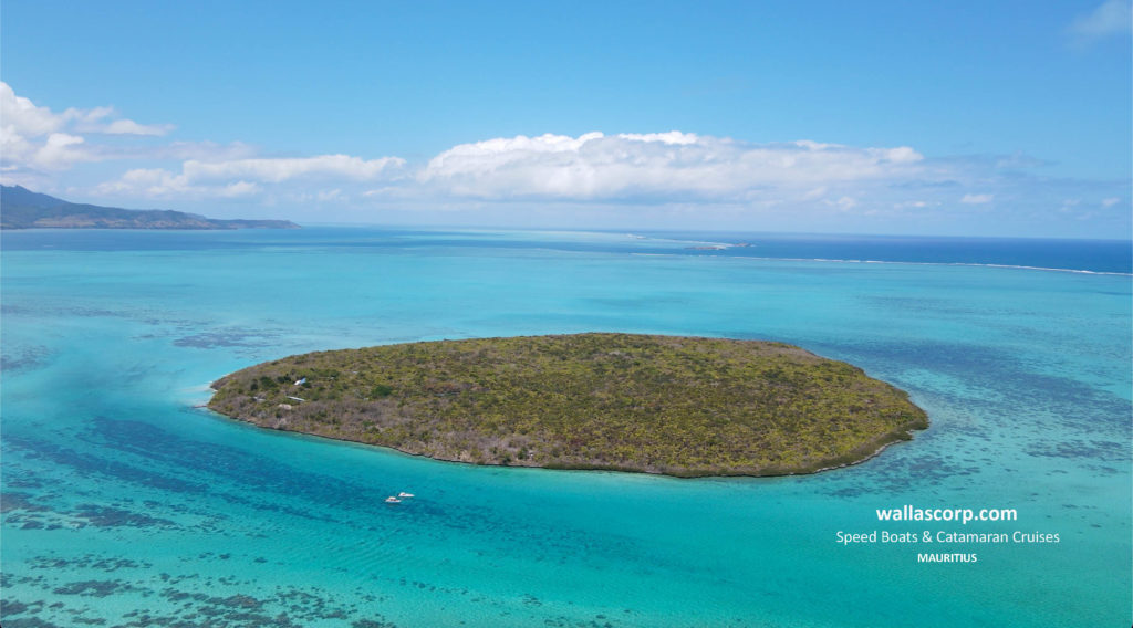 Île aux Aigrettes et ses eaux turquoise