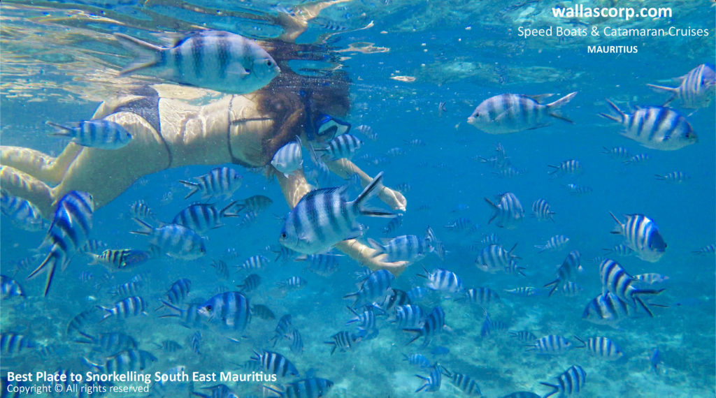Snorkeling dans les eaux limpides du lagon