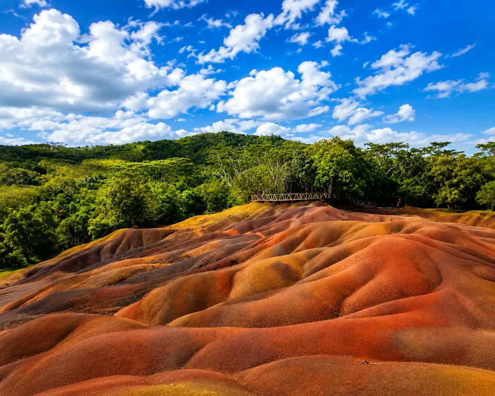 Dunes aux teintes chaudes de la Terre des Sept Couleurs de Chamarel, entourées de forêt à Maurice.