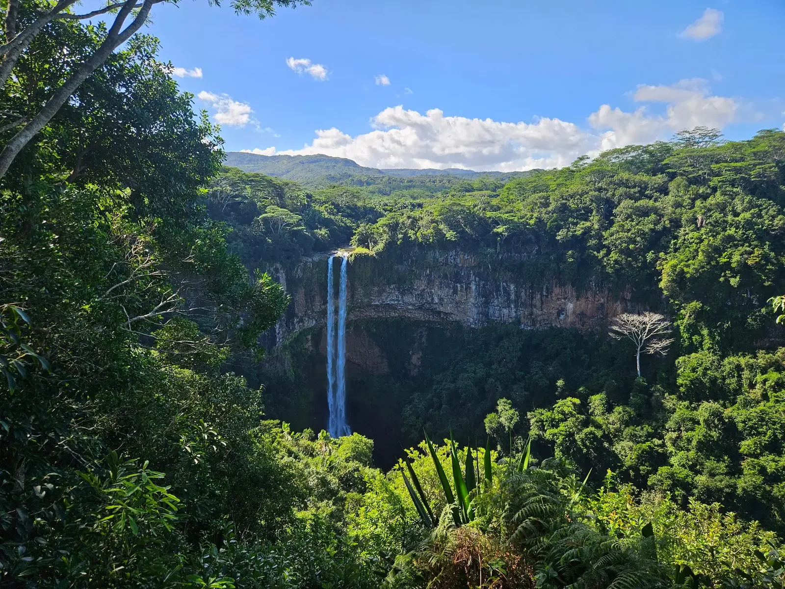 Cascade de Chamarel vue à travers la végétation tropicale sous un ciel bleu à Maurice.