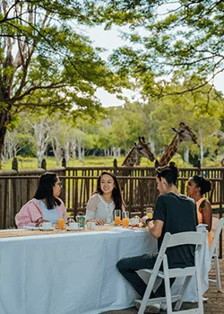 Гости за столом рядом с жирафами в Casela Nature Parks на Маврикии.