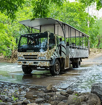 Открытый по бокам автобус сафари в Casela Nature Parks на Маврикии.