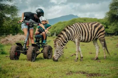 Посетители Safari Eco Rider рядом с зеброй в Casela Nature Parks на Маврикии.